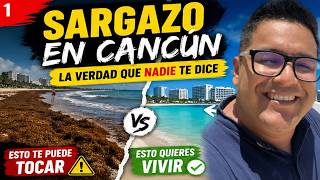 This is NOT what Cancun looks like… 😬 (the reality of sargassum in 2026)