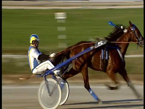 Trotto 16/11/2018 - 2ª corsa