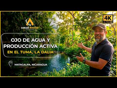 Finca Cafetalera de 7 Manzanas en Venta | Ojo de Agua y Producción Activa en Matagalpa
