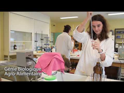 Vidéo de présentation IUT Nancy-Brabois