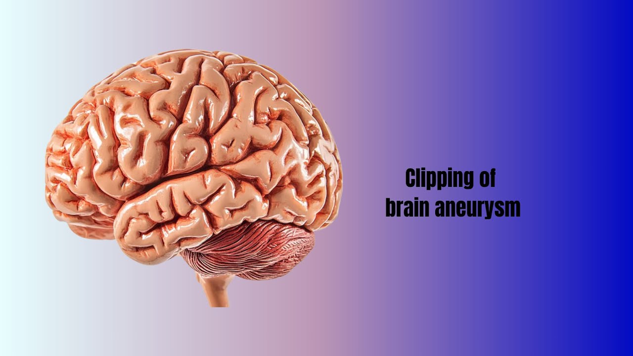 David Tafur Muñoz-2498