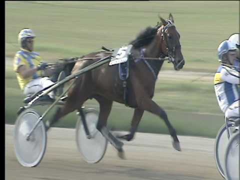 Trotto 10/06/2017 - 5ª corsa