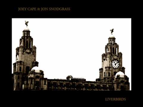 Joey Cape - Liverbirds - whipping boy acoustic
