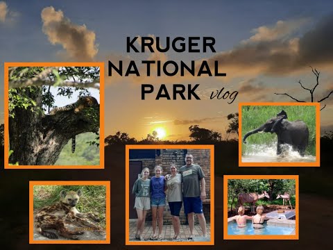 Kruger Vlog 2022