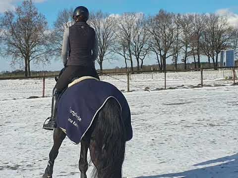 Darling's Fenrir  Februar 2021  Schnee bei -10°C