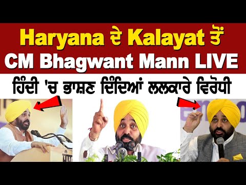 Haryana Assembly Elections 2024: Punjab CM Bhagwant Mann Addresses Rally in Kalayat