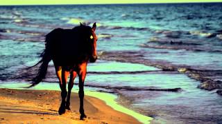 Now For Plan A - Original Sequence