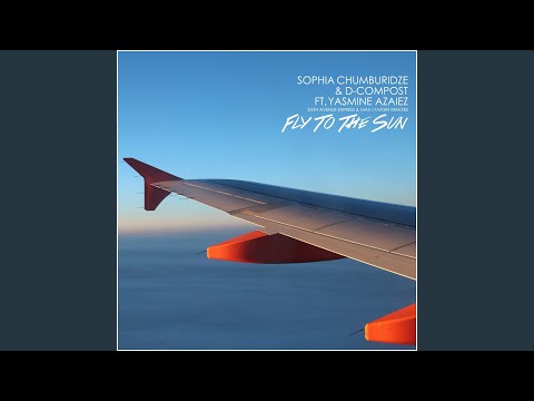 Fly to the Sun (Max Lyazgin Remix)