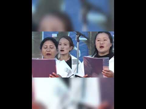 NGC Collection - Thenupfüko krotho ( A. G Church Zhadi basa)