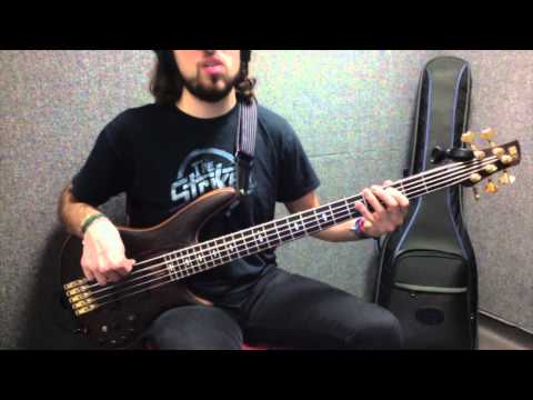 Broken Bells - Holding On For Life (Bass Cover) [Pedro Zappa]