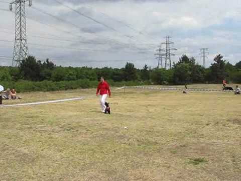 Dogdancing 2009.06.07 Huber Henriett + Totó