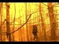 Portishead - It´s a fire