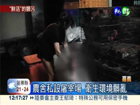 嘉義查獲非法屠宰場 負責人遭逮
