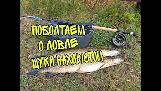 Ловля щуки нахлыстом.