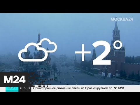 'Утро': климатическая зима придет в столицу с середины недели - Москва 24