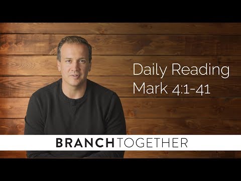 Daily Reading - Mark 4