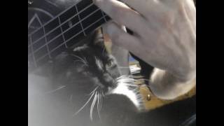 Uh, Zoom Zip - Soul Coughing Cover/Sample