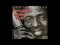 Junior Wells -  Everybody's Gettin' Them Some