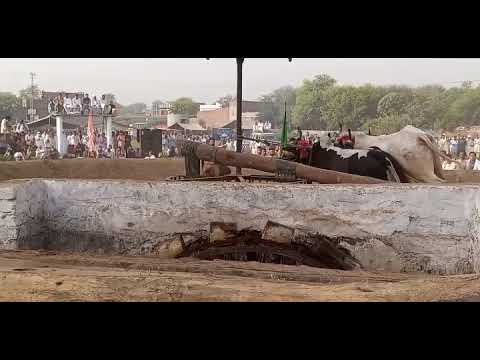 Bull race jada jhelum 23rd March 2022| Akhara bail jada jhelum 2022| mehar Muhammad Khan of monan