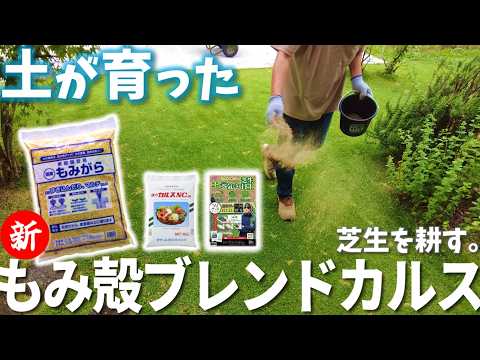 おとうちゃんのお庭様 【カルス5年目】効果を実感‼芝生を”耕す”もみ殻ブレンドに挑戦しました