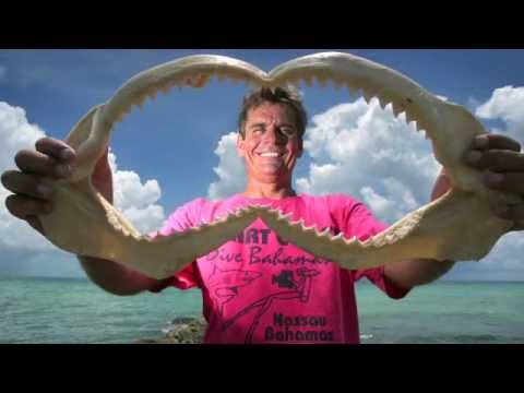 Stuart Cove- 2016 ISDHF Inductee