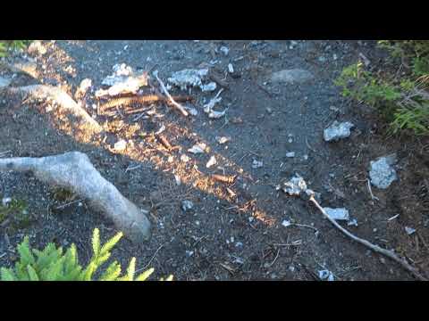 Lost Places im Hochharz: Absturzstelle eines deutschen Jagdflugzeugs am Brocken im Harz - Teil2