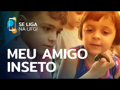 Meu amigo inseto | Se Liga na UFG!