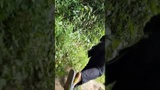 Download lagu Mae wang National park trekking p.2 mp3 Download lagu Mae wang National park trekking p.2 mp3