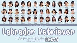 AKB48 &#39;LABRADOR RETRIEVER&#39; LYRICS (AKB48 &#39;ラブラドール・レトリバー&#39; 歌詞) | Color Coded Lyrics KAN_ROM_ENG