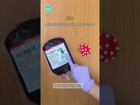 Rh Factor Explained 🩸🤝