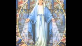 The Healing with Mother Mary Meditation