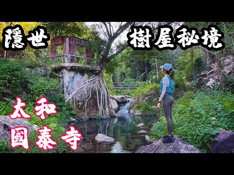 【香港攝影好去處】大埔隱世樹屋祕境 | 太和泰國寺 | 上水鳳眼藍