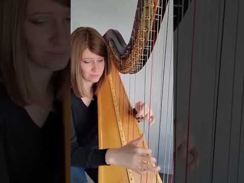 Walt Disney Pictures Intro #shorts