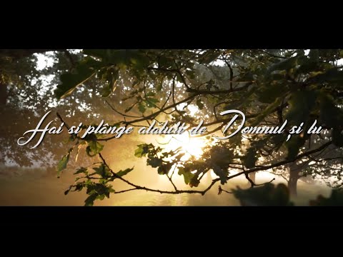 Hai și plânge - Gabi Ilut