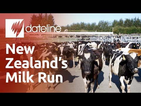 New Zealand's Milk Run