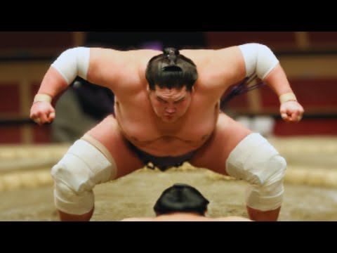 King of  SUMO WRESTLING - HAKUHO SHO | YOKOZUNA | #viral #trending