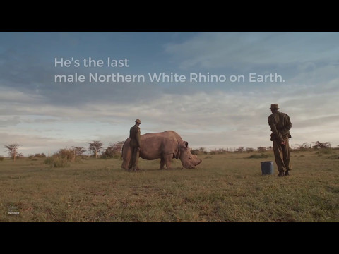 The World’s Most Eligible Bachelor