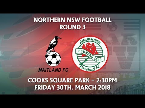 2018 NNSWF NPL Round 3 - Maitland Magpies FC Adamstown Rosebud FC