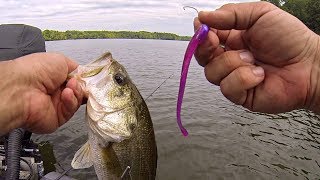 SUMMER BASS FISHING (FLW BFL Practice Day on Buggs Island)