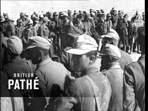 El Alamein Desert Advance - 1942 (1942)