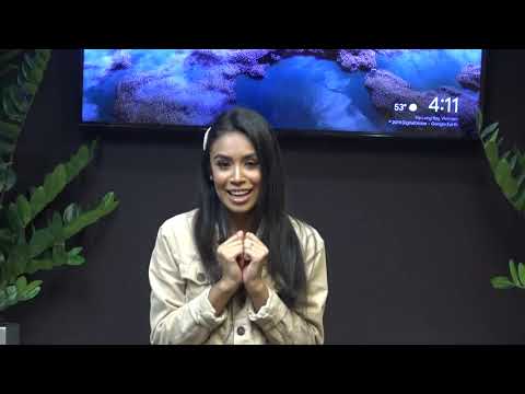 Play Video Youtube Video