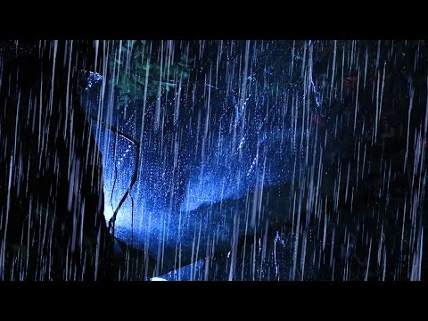 Fall into Sleep in 5 Minutes with Heavy Rain & Thunder Intense Sounds on Tin Roof in Forest