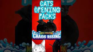 DOES MY CAT HAVE BETTER PACK LUCK THAN I DO ???? #pokemon #chaosrising