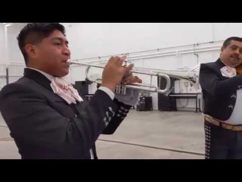 Promotional video thumbnail 1 for Mariachi JVcarterproductions