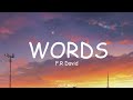 F R David Words Lyrics Loop Video