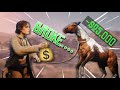 RDR2 Rrp But We Go Horse Shopping