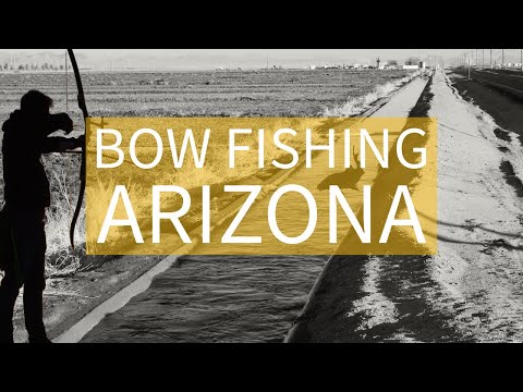 I Unleashed my Inner Archer on the Water! Bowfishing Yuma Arizona #bowfishing #arizona #hunter