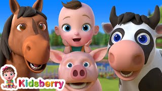 🐴 🐷 Animal Finger Family 🐤 🐶 | Kidsberry Nursery Rhymes & Baby Songs