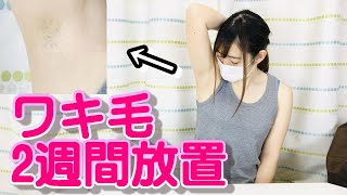 ワキ毛を2週間放置したらめちゃくちゃ伸びた件