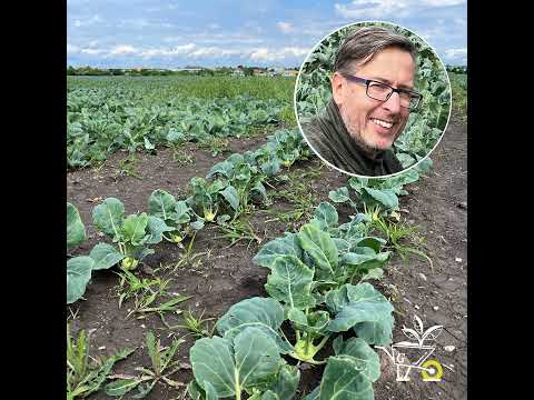 Plant winter vegetables in the summer